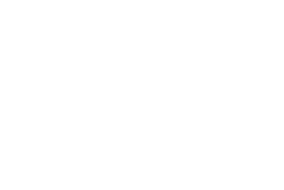 Med Lang Fanatic Logo